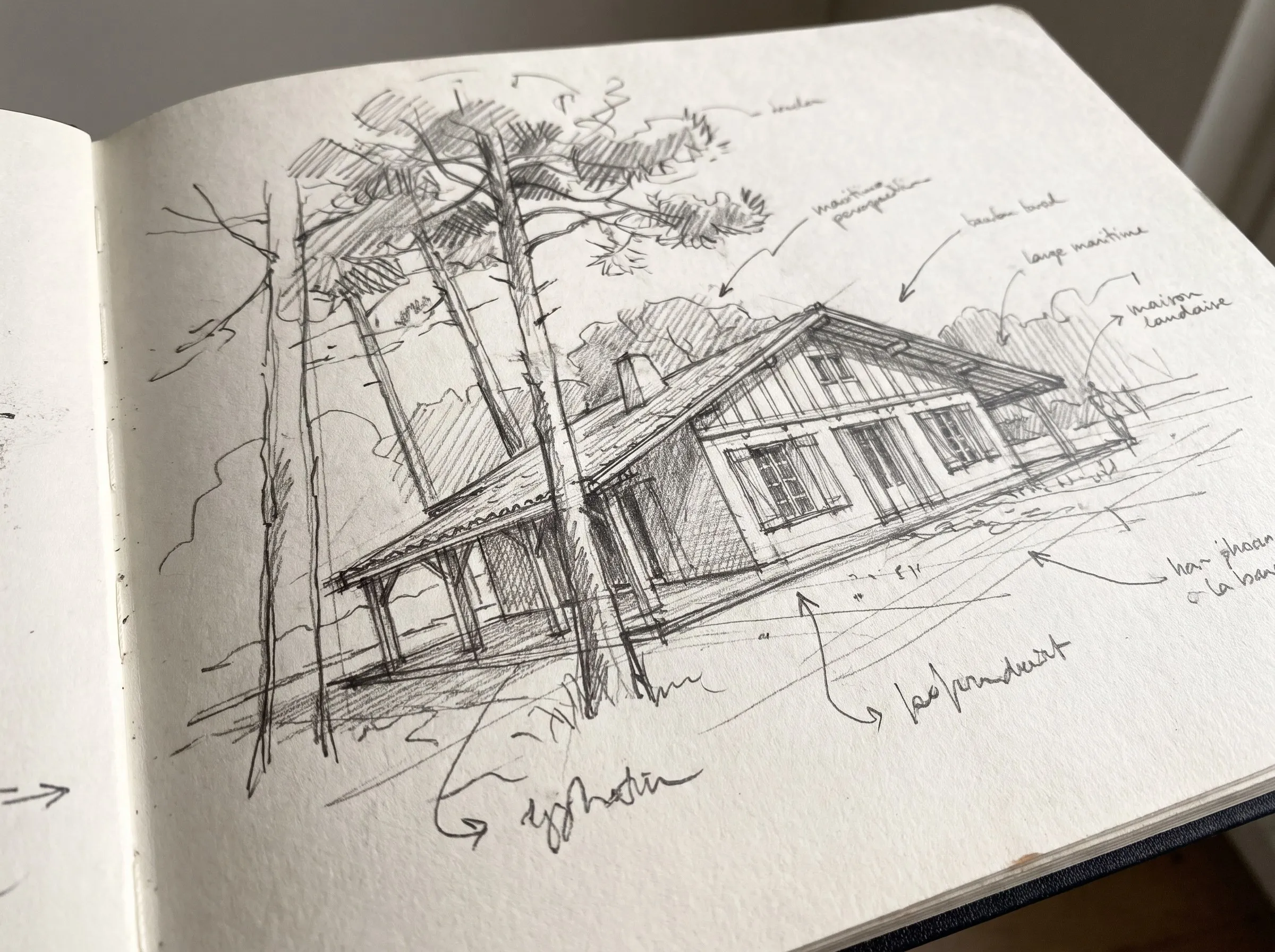 Carnet de croquis : esquisse au crayon d'une maison sous les pins